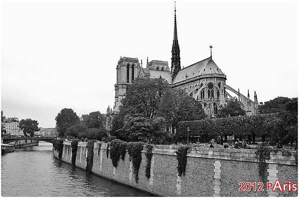 IMG_8104