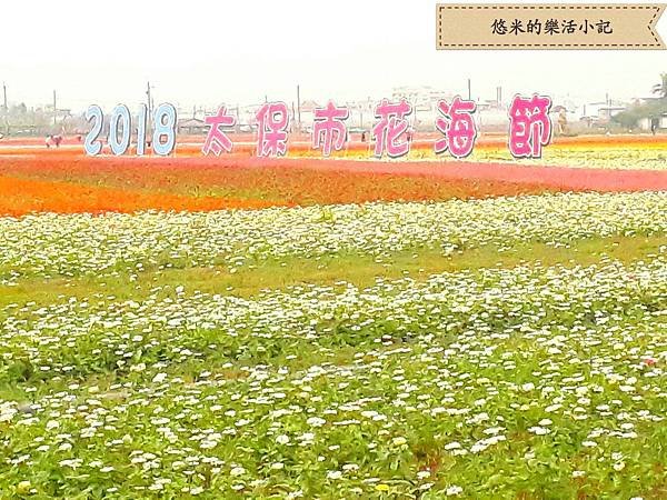 20180213_215158.jpg
