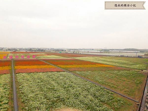 20180213_224609.jpg