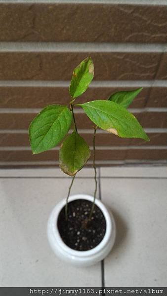 P_20160526_064735.jpg