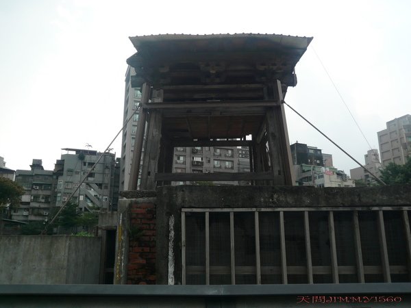 P1050569.jpg
