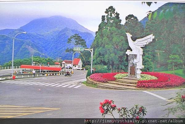 早期台閔地區風景明信片-鹿谷鳳凰谷鳥園.JPG