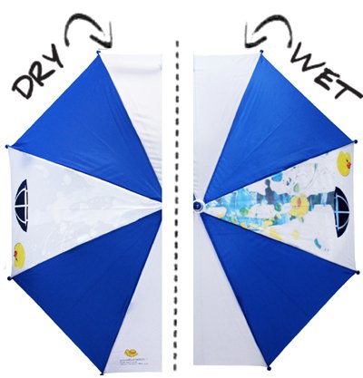 wet dry umbrella.jpg