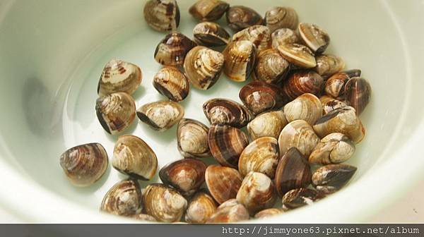 03蛤蜊兩把泡水吐沙.jpg
