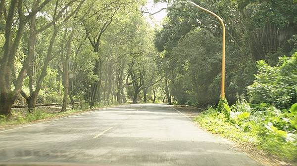 122集集綠色隧道.jpg