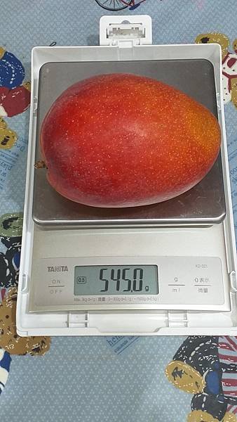 09一顆重545克.jpg