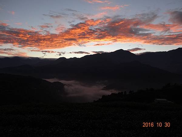DSC06850.JPG