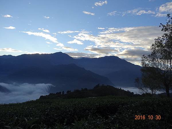 DSC06865.JPG