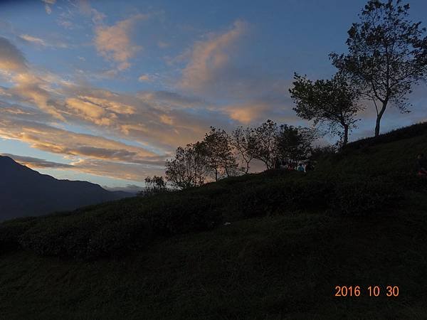 DSC06863.JPG