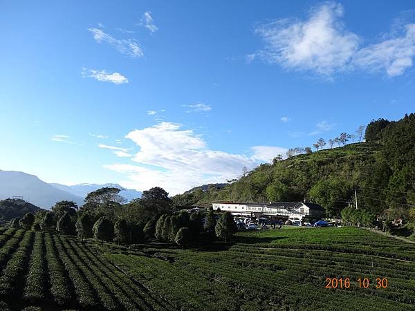 DSC06875.JPG
