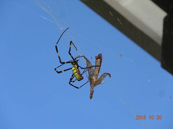 DSC06891.JPG