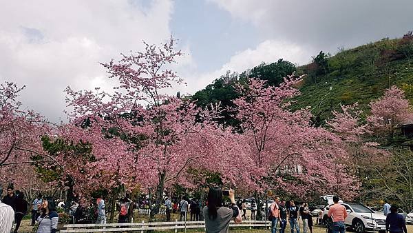 恩愛農場_170323_0077.jpg