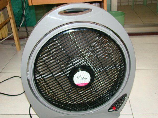050.JPG