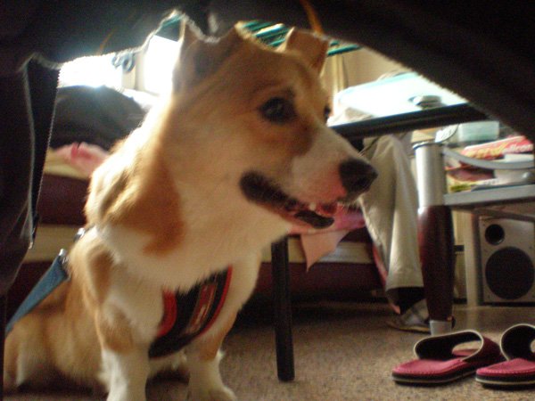 200812133.jpg