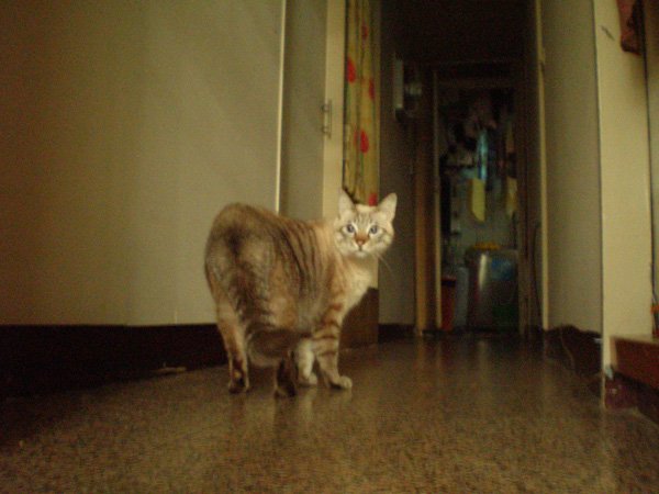 200812134.jpg