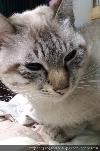 IMAG0003.jpg