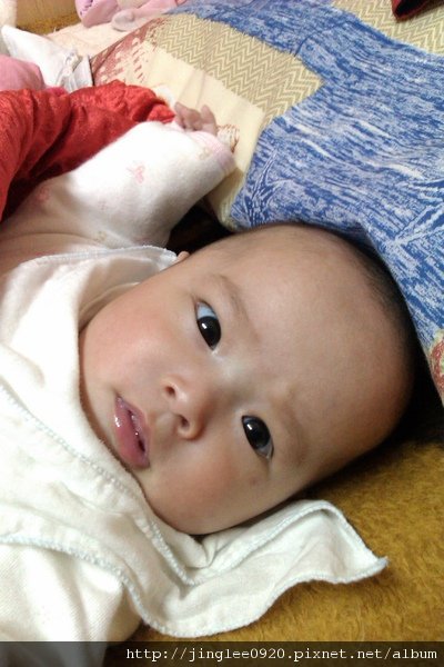 IMAG0034.jpg