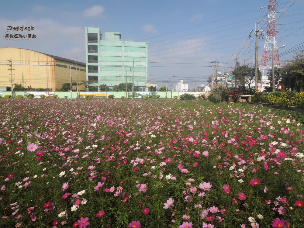 DSCN9736.jpg