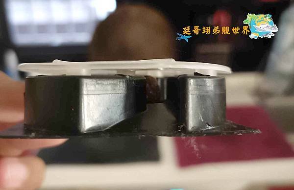【好物分享-福來朗殺蟑餌錠+派卡瑞丁極效防護防蚊液】徹底消滅