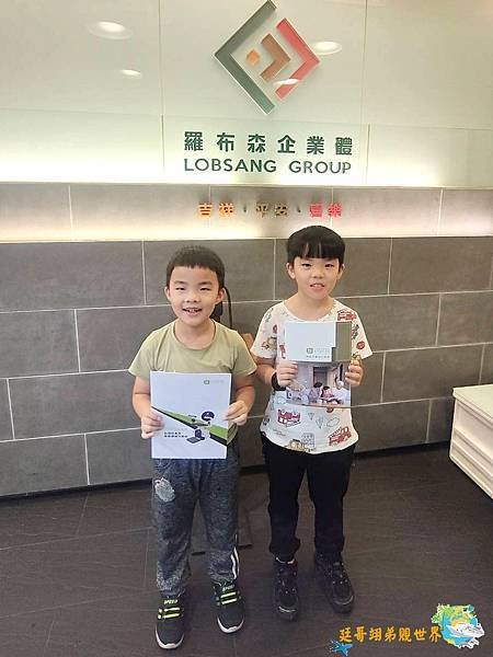 台灣製樓梯升降椅推薦：羅布森樓梯升降椅 安全上下樓好幫手 M