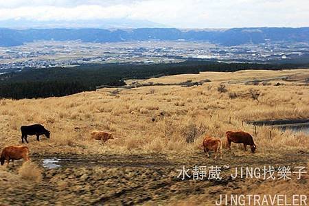 阿蘇山草千里11.jpg