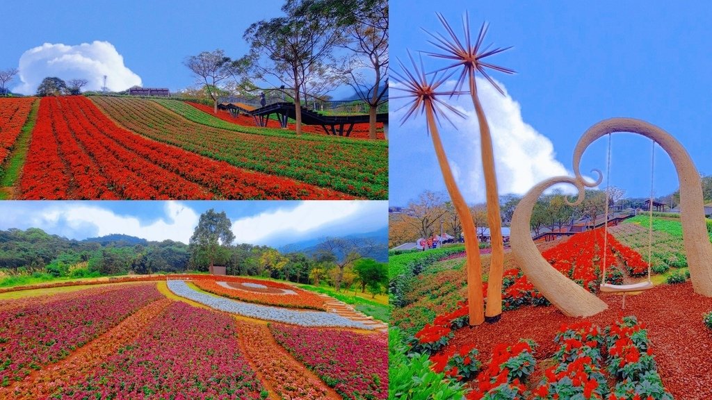 2023三層崎花海「鷲你來看花」台版富良野春妝新登場＠環遊世界366天.jpg