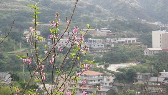 IMGP20741.JPG