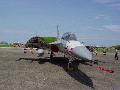 F-CK-1A/B 經國號戰鬥機 IDF