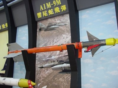 AIM-9M 響尾蛇空對空飛彈  Sidewinder