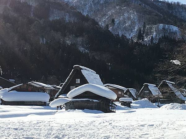 白川鄉合掌村