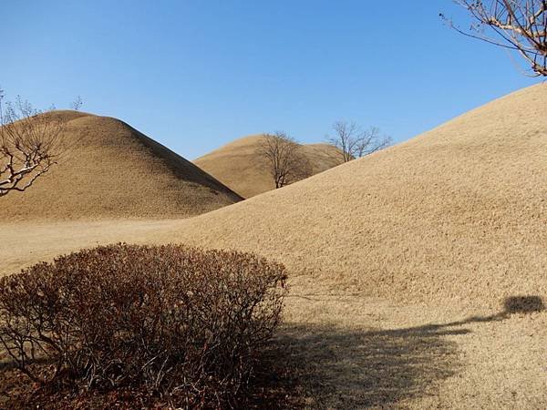 世界文化遺產～慶州歷史遺跡(大陵苑)