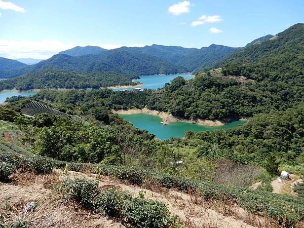 【臺灣%2F新北市】石碇千島湖 + 八卦茶園