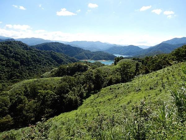 【臺灣%2F新北市】八卦茶園附近的風景