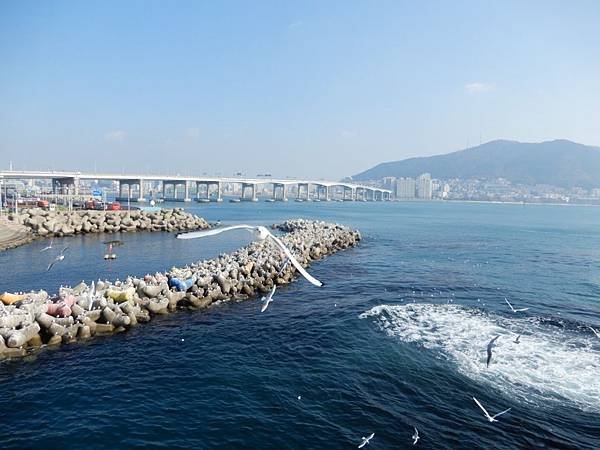 【韓國%2F釜山】松島海水浴場