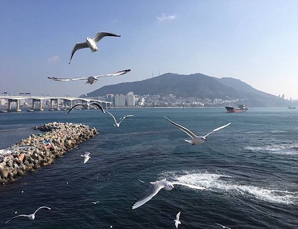 【韓國%2F釜山】松島海水浴場