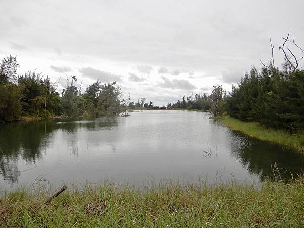 【臺灣%2F台東】台東森林公園(琵琶湖)