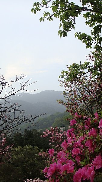 DSC02184.JPG
