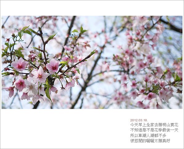 20120318