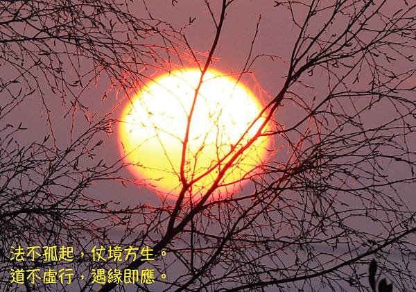 20151223.jpg