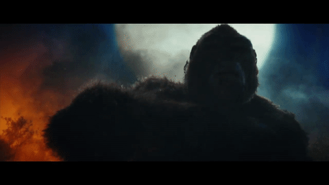 King-Kong-Gif-king-kong-40028949-480-270.gif