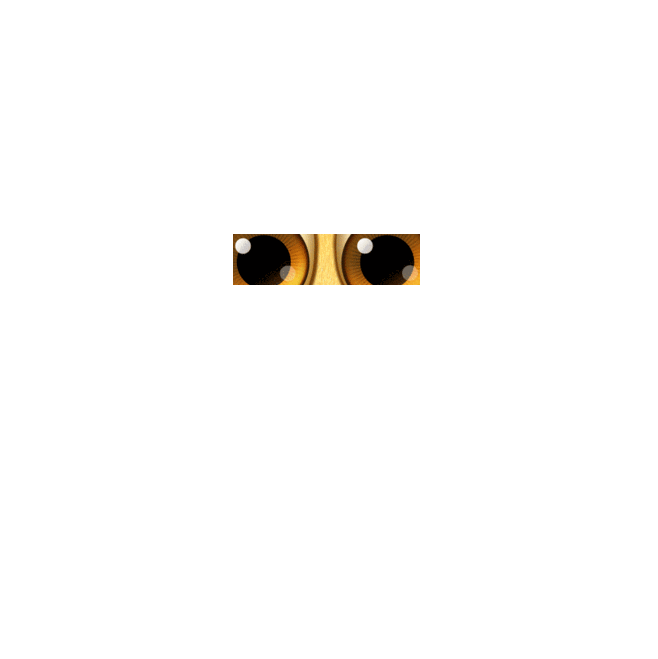 e142905213a01eda0a84c2e150a1a12096feeaa75d158-7E59tv_fw658.gif