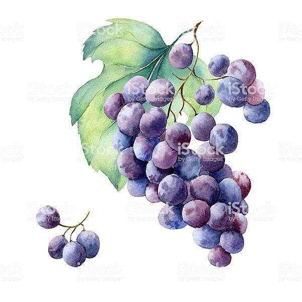 istockphoto-482858790-1024x1024.jpg