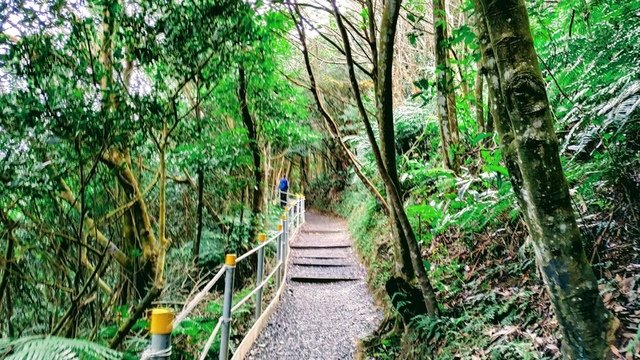 翠山步道