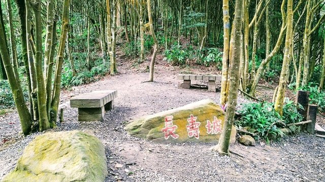 長壽坡