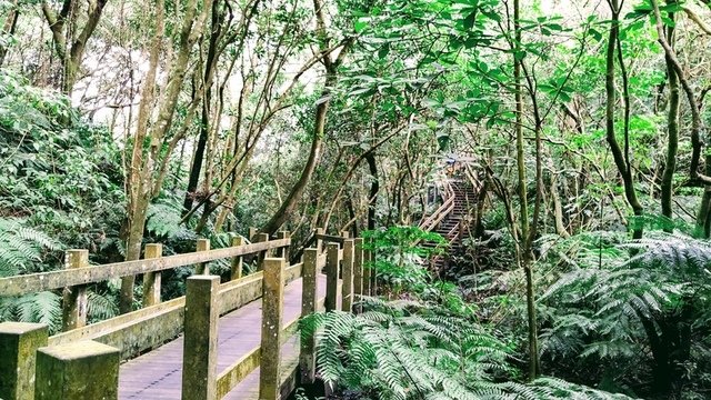 碧溪步道