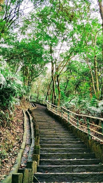 大崙頭自然步道
