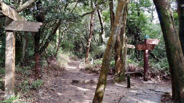 大崙頭山北面步道