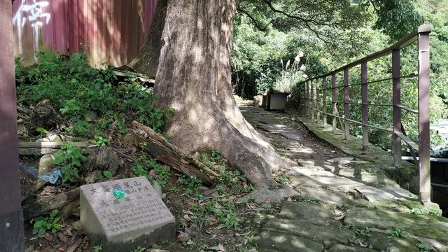 大崙頭山北面步道口