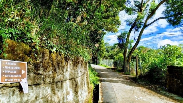 碧山路50巷口