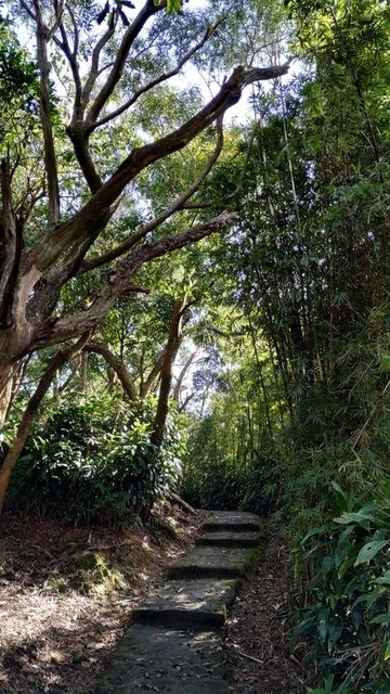 忠勇山越嶺步道
